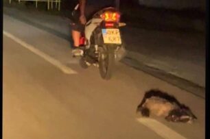 Πολύστυλο Καβάλας: Άνδρας έσερνε ζώο στην άσφαλτο αφού τον έδεσε σε μοτοσυκλέτα (βίντεο)