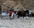 Ζάκυνθος: Αμαξάς αναγκάζει άλογο να σέρνει άμαξα με 4 άτομα μέσα στη θάλασσα (βίντεο)