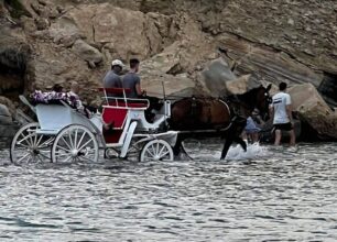 Ζάκυνθος: Αμαξάς αναγκάζει άλογο να σέρνει άμαξα με 4 άτομα μέσα στη θάλασσα (βίντεο)