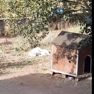 AmpeleiesPellasSkylosThermoplixia3 9 2020 2