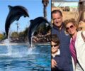 Ο Άδ. Γεωργιάδης επικροτεί τις παράνομες παραστάσεις με δελφίνια που συνεχίζονται στο δελφινάριο του Αττικού Ζωολογικού Πάρκου (βίντεο)
