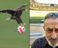 Ο αεκτζής Α. Καφετζόπουλος επιμένει «Το τσίρκο με τον ζωντανό αετό πρέπει να τελειώνει»