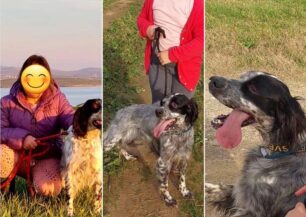 Λήμνος: Νεκρά πεταμένα μέσα σε πηγάδι βρέθηκαν δύο σκυλιά