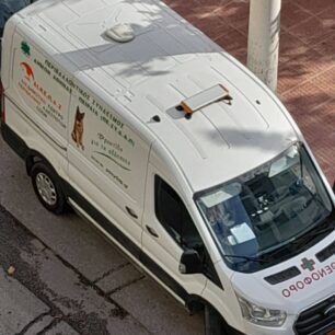 DrapetsonaSkylosNekrosDagkoma21 11 2022 1