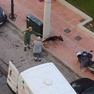 DrapetsonaSkylosNekrosDagkoma21 11 2022 4