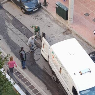 DrapetsonaSkylosNekrosDagkoma21 11 2022 5