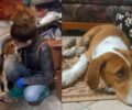 Πάτρα Αχαΐας: Έσωσαν σκύλο που κακοποιούσε ψυχικά ασθενής (βίντεο)