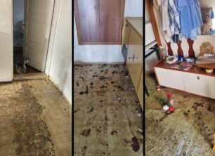 Εμμ. Παππά Σερρών: Έκκληση για να βοηθηθεί ηλικιωμένος συλλέκτης ζώων – Ο Φ.Ο.Σ. ανέλαβε τις στειρώσεις των γατιών