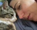 Δεν άφησε να ταξιδέψει γυναίκα με άρρωστη γάτα υπάλληλος της «SKY ΕXPRESS» που ζητούσε βεβαίωση ότι ο καρκίνος του ζώου δεν είναι μεταδοτικός!