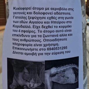 KorydallosGataPyrovolimeniAerovoloAktinografiaAfisa11 12 2022