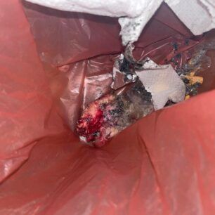 NeosSkoposSerronDilitiriasmenaSkyliaFoles24 12 2022 2