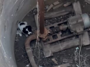 Πιερία: Έσωσε κουτάβι που βρήκε εγκλωβισμένο σε πηγάδι κοντά στον ποταμό Αίσωνα (βίντεο)
