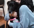 Έσωσαν σκύλο που χάθηκε στον Βύρωνα και βρέθηκε εγκλωβισμένος σε στοά του Μετρό στα Σεπόλια (βίντεο)
