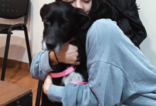 Έσωσαν σκύλο που χάθηκε στον Βύρωνα και βρέθηκε εγκλωβισμένος σε στοά του Μετρό στα Σεπόλια (βίντεο)