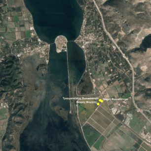 AlikiMesologiouAitoloakarnaniasPyrovolimenoFlamingo23 1 2023 9