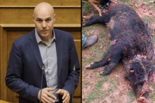 Γιάννενα: O υφυπουργός Περιβάλλοντος Γ. Αμυράς βραβεύει κυνηγούς – γυναίκες επειδή σκοτώνουν αγριογούρουνα