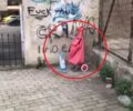 Αθήνα: Βρήκαν σκυλάκι παρατημένο δύο μέρες μέσα σε καρότσι λαϊκής (βίντεο)
