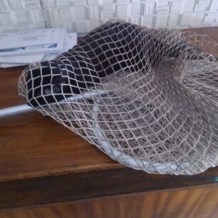 KaisarianiAttikisGatesSyllektrias19 1 2022 1