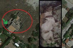 Καλύβια Θορικού Αττικής: Σκύλος νεκρός παγιδευμένος σε υπόγειο οικοδομής (βίντεο)