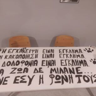 KerameiaLesvosPyrovolimenosSkyloDiamartyria14 1 2023 1