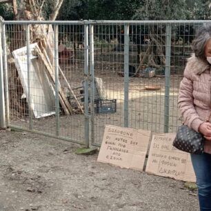 KerameiaLesvosPyrovolimenosSkyloDiamartyria15 1 2023 1