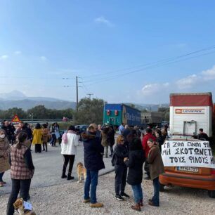 KerameiaLesvosPyrovolimenosSkyloDiamartyria15 1 2023 3