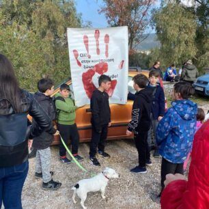 KerameiaLesvosPyrovolimenosSkyloDiamartyria15 1 2023 4