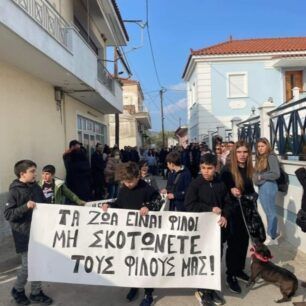 KerameiaLesvosPyrovolimenosSkyloDiamartyria15 1 2023 6