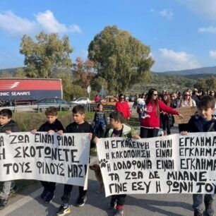 KerameiaLesvosPyrovolimenosSkyloDiamartyria15 1 2023 7