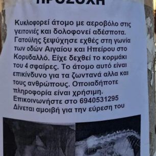 KorydallosGataPyrovolimeniAerovoloAktinografiaAfisa11 12 2022 3
