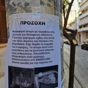 KorydallosGataPyrovolimeniAerovoloAktinografiaAfisa11 12 2022 4