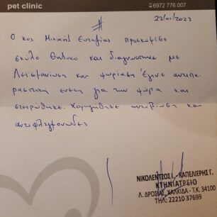 Νεοχώρι Βοιωτίας: Έσωσαν σκυλίτσα που βρέθηκε ζωντανή πεταμένη σε κάδο σκουπιδιών (βίντεο) 6 NeoxoriViotiasSkylosKadosVevaiosi23 1 2021 3
