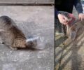 Χαλάνδρι Αττικής: Έσωσαν γάτα που σφήνωσε με το κεφάλι σε πλαστικό μπουκάλι