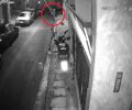 Αθήνα: Συνελήφθη άνδρας που σκότωσε γάτα στον Βοτανικό – Ομολόγησε και άλλες 5 βρέθηκαν νεκρές εκεί που ζει (βίντεο)