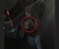 Αθήνα: Άνδρας χτυπάει επανειλημμένα γάτα και τη σκοτώνει στον Βοτανικό (βίντεο)