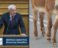 Υπέρ της κακοποίησης των ζώων με παστούρες ο βουλευτής της ΝΔ  Mάρκος Καφούρος που ζητάει να εξαιρεθούν οι κυκλαδίτες κτηνοτρόφοι (βίντεο)