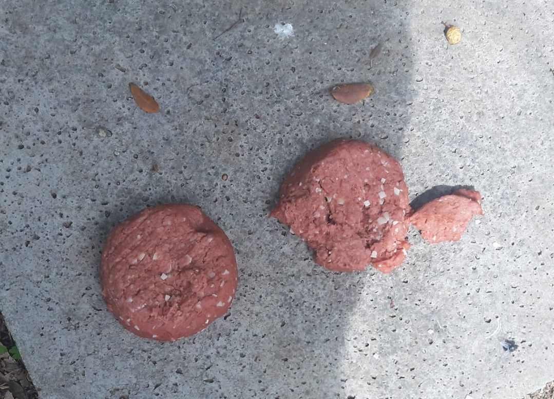 Αθήνα: Ωμά μπιφτέκια με χημική ουσία οι φόλες που βρέθηκαν στο Πεδίον