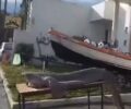 Είδος υπό προστασία ο εξαβράγχιος καρχαρίας που έπιασαν ψαράδες στον Κορινθιακό (βίντεο)