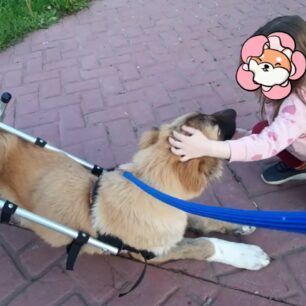 FlorinaKoutaviParalytoAerovolo7 5 2022 1