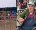 12-1-24 η δίκη του 87χρονου άνδρα που χτυπούσε τον σκύλο του στα Λουτρά Θεσσαλονίκης (βίντεο)