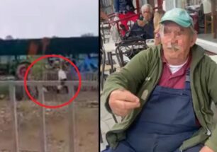 12-1-24 η δίκη του 87χρονου άνδρα που χτυπούσε τον σκύλο του στα Λουτρά Θεσσαλονίκης (βίντεο)