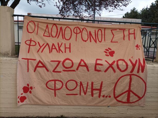 Κατέβασαν πανό μαθητών που διαμαρτύρονταν για τις φόλες στο Τσοτύλι Κοζάνης (βίντεο)