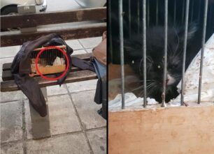 Θεσσαλονίκη: Εγκατέλειψε γάτα μέσα σε κλουβί πουλιών
