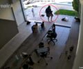 Χαλάνδρι Αττικής: Γυναίκα με κάμερα στο κεφάλι καταγράφει χώρο καταστήματος που φροντίζει αδέσποτες γάτες (βίντεο)