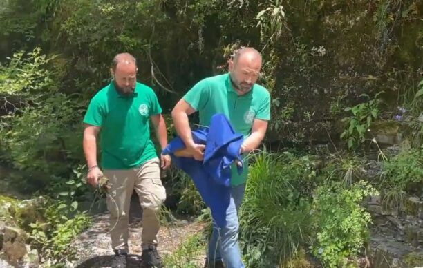 Στον ΑΡΚΤΟΥΡΟ μεταφέρθηκε τραυματισμένο ζαρκάδι που εντοπίστηκε στους Καλαρρύτες Ιωαννίνων (βίντεο)