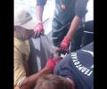 Ψαράδες απελευθέρωσαν στο Αιγαίο δελφίνι που μπλέχτηκε στα παραγάδια τους (βίντεο)
