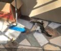 Ρόδος: 83χρονος σκότωσε ακόμα μια γάτα με σκούπα – Συνελήφθη και διώκεται για κακούργημα (βίντεο)