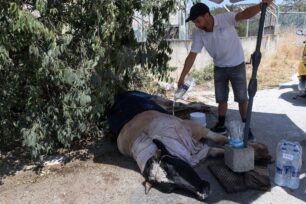 Τηλέφωνα επικοινωνίας για περίθαλψη πυρόπληκτων ζώων δίνει ο Κτηνιατρικός Σύλλογος Μαγνησίας