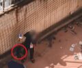Αθήνα: Ανήλικο αγόρι βασανίζει κουτάβι χτυπώντας το και κρεμώντας από το λουρί (βίντεο)