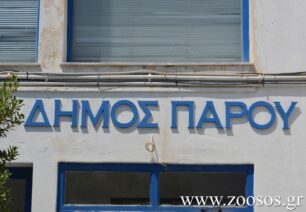 Μήνυση σε βάρος του δημάρχου Πάρου από τον Σύλλογο Προστασίας Ζώων για οφειλές και την εγκατάλειψη 69 αδέσποτων